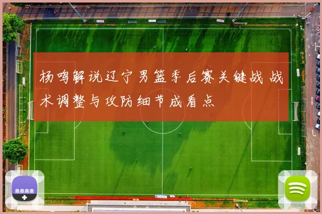 杨鸣解说辽宁男篮季后赛关键战 战术调整与攻防细节成看点