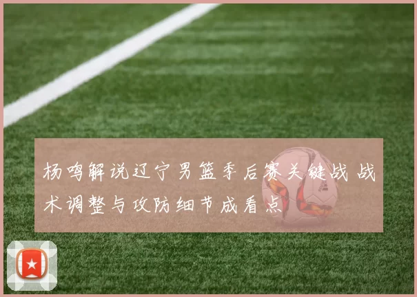 杨鸣解说辽宁男篮季后赛关键战 战术调整与攻防细节成看点