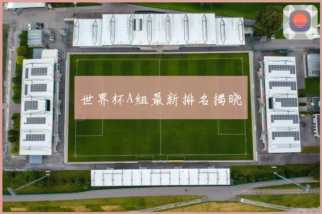 世界杯A组最新排名揭晓
