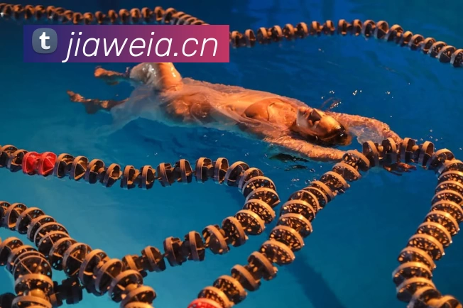 滚球官网app品牌故事