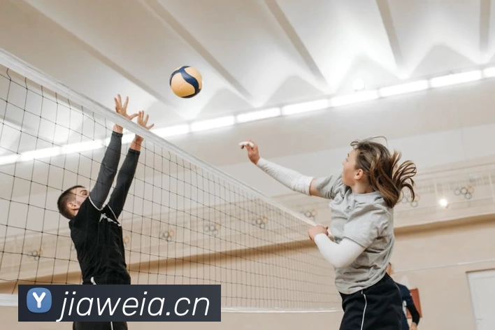 滚球官网app服务体系